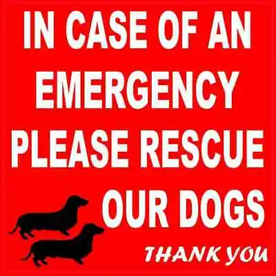 4 X 4 Dachshund Please Rescue Our Dogs Magnet Car Truck Vehicle Magnetic Sign • $10.99