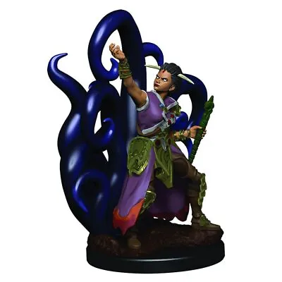 $20.95 • Buy Dungeons & Dragons Premium Female Human Warlock Pre-Painted Figure