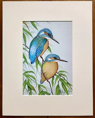 £25 • Buy ‘Kingfishers’, Eric Peake MBE, Artist Signed Print 14”x11” Overall Mount