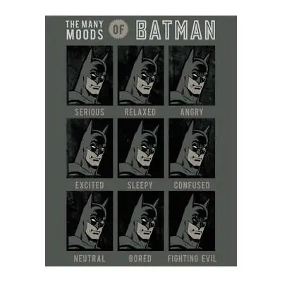 Batman Mood Fleece Blanket Throw Superheroes Fans Room Soft Official DC Comic • $43.81