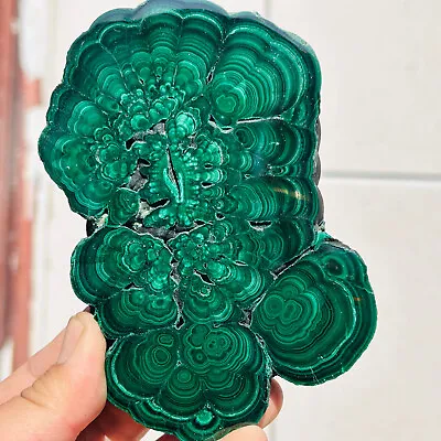 495G Natural Chrysanthemum/Malachite Transparent Cluster Rough Mineral Sample • $5.86