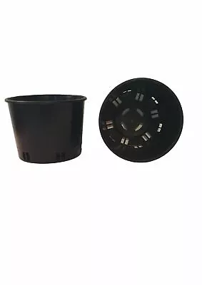 Orchid Pot 100mm X 75mm - Port Squat Pots - Pack Of 10 • $14.95