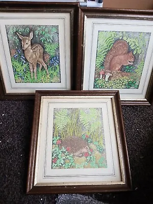 £10 • Buy Vintage  Three Brown Gold Framed Prints Hedghog/squirrel/baby Deer