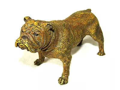 Large Austrian Cold Painted Vienna Bronze Bulldog C1920- Unmarked Franz Bergman • £280