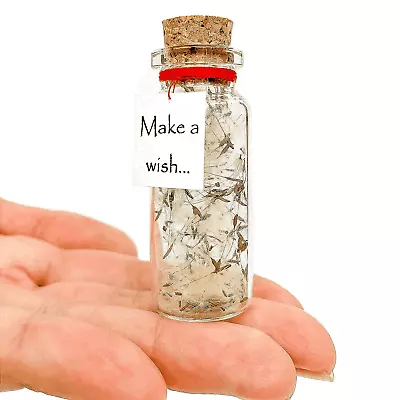 Tiny Magical Message In A Bottle Gift Idea Classy Inspirational Gifts For Him • $19.75