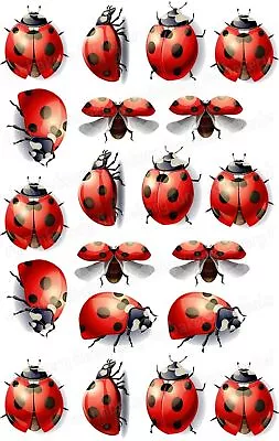 Ladybug Cake Topper Party Decoration Gift Birthday Muffin Cupcake New • £7.66