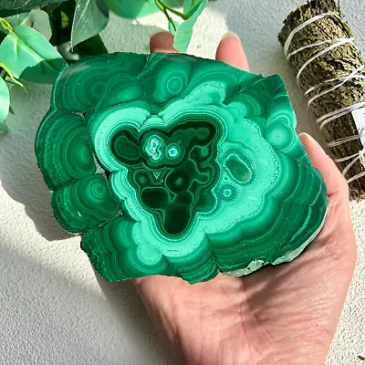 665G Natural Green Malachite Slab Quartz Crystal Slice Display Healing • $133