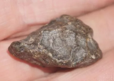 SUPERB THUMB-PRINTED 11.6 G AMGALA 001 MARTIAN SHERGOTTITE METEORITE MARS ROCK! • $1159