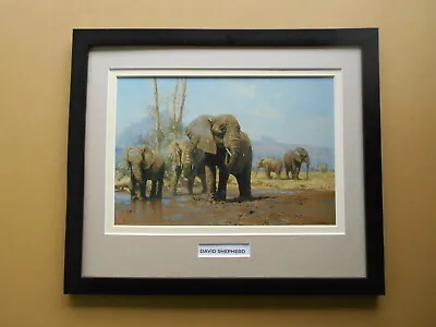 David Shepherd Print 'Elephants Playtime' FRAMED • £28.50