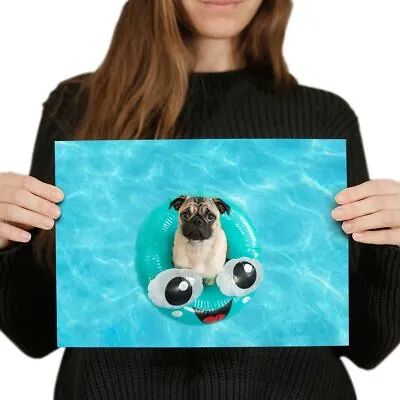 £3.99 • Buy A4  - Pug Puppy In Swimming Pool Poster 29.7X21cm280gsm #46220