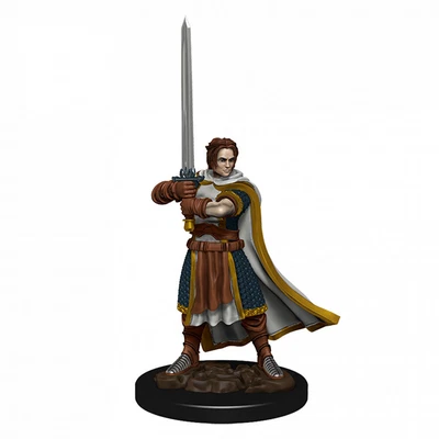 $20.95 • Buy Dungeons & Dragons Premium Male Human Cleric Pre-Painted Figure