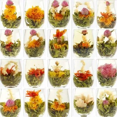 $16.99 • Buy 20 Pcs Blooming Tea Green Tea Artistic Blossom Flowers Tea Blooming Tea Balls