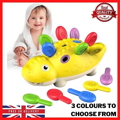 DFGEE Baby Sensory Montessori Toys For 2 Year Old Toddler Toys Activity Learn • £8.51