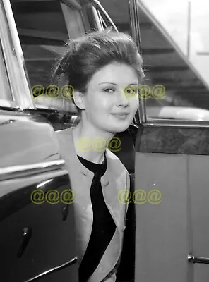 $6.10 • Buy Photo - Pamela Tiffin Candid Portrait, London Airport, 1962