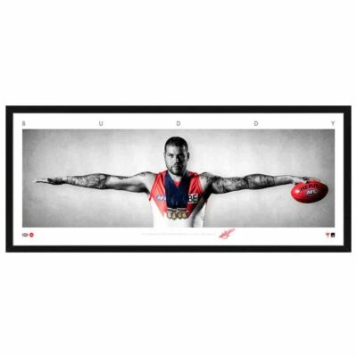 $164.99 • Buy Lance Franklin Sydney Swans Signed Framed Poster Parker Kennedy Afl Memorabilia