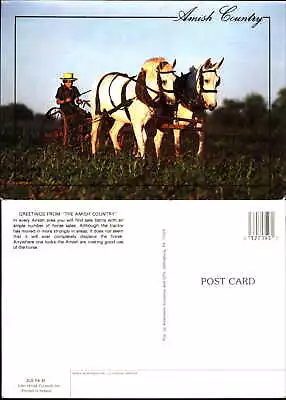 Horse Drawn Antique Plow Farm Equipment Amish White Horse Vintage Postcard • $1.89