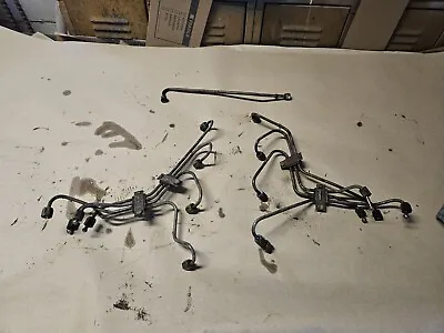 OEM 1994 F250 7.3L IDI DIESEL Injector Lines • $89