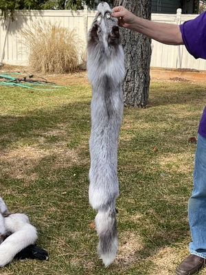 $100 • Buy Not Vintage. Real Mutation Fox Fur Cape Stole Scarf. Preowned . Nice