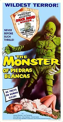 THE MONSTER OF PIEDRAS BLANCAS (1959) - 3 Sheet 41 X79  Movie Poster! • $175