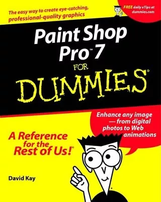 Paint Shop Pro 7 For Dummies By Kay David C. Paperback Book The Cheap Fast Free • £5.72