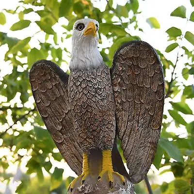 Garden Eagle Statue Bald Eagle Large Outdoor Statues Yard  • £18.95