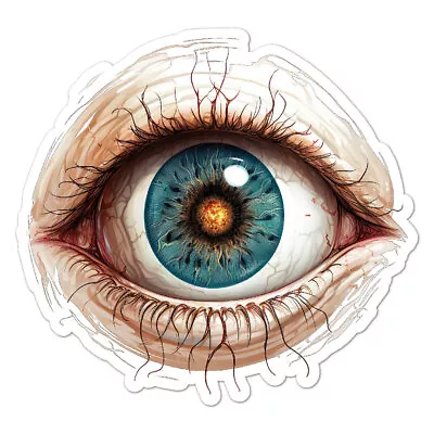 Eye Eyeball Vinyl Decal Sticker Indoor Outdoor 3 Sizes #9716 • $5.95