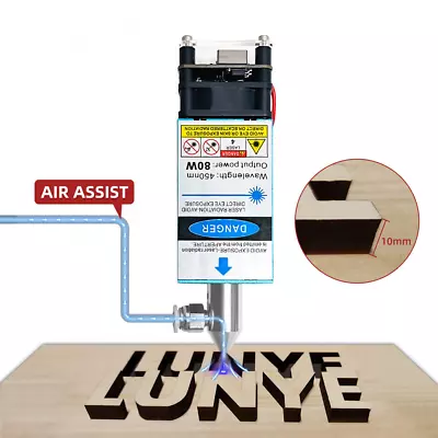 LUNYEE 40W/80W Laser Module With Air Assist For CNC Cutting Engraving Machine • £70.80