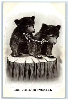 C1910's Dog Puppies Tied But Not Reconciled Animals Unposted Antique Postcard • $9.72