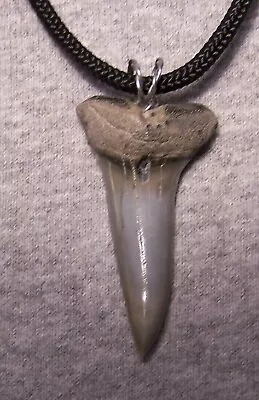 Mako Shark Tooth Shark Teeth Necklace Fossil 1 7/8   Wireless Polished Megalodon • $30