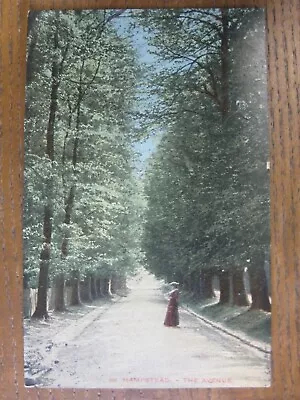 The Avenue Hampstead  London - Pre 1918 • £2.75