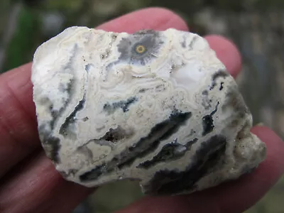 Ocean Jasper Crystal Orbicular Natural Healing Piece Chunk Semi Polished 26g • £13.99