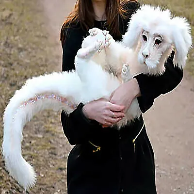 £29.99 • Buy Falkor From The Neverending Story Plush Doll Toys Gift For Kids And Adluts