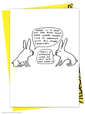 David Shrigley Birthday Greetings Card Funny Comedy Humour Novelty Cheeky Joke • £2.95