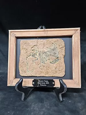 Dragon Fossil Displaymythsideshow Gaffpropfolk Loremummifiedoddityweird • $245