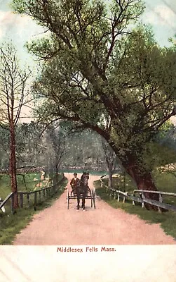 Postcard MA Middlesex Fells Horse Drawn Cart Undivided Back Vintage PC H705 • $4