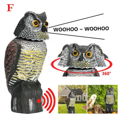 Realistic Owl Decoy Deterrent Rotating Head Sound Bird Pigeon Crow Scarer Statue • £9.59