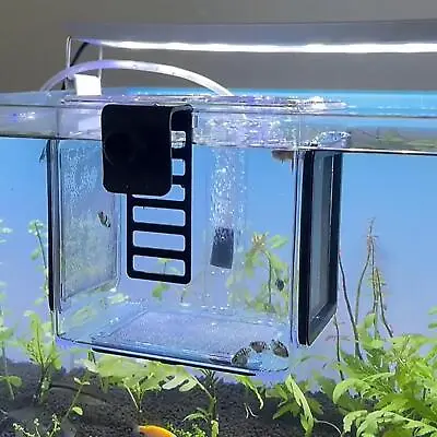Acrylic Fish Tank Fish Breeding Isolation Box Clear Hanging Newborn Fry Breeder • £22.27