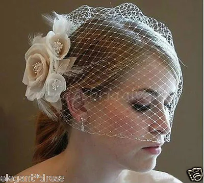 Hot Women Champagne Flower Fascinator Wedding Bridal Birdcage Face Veil Stock • $12.48