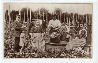 HOP PICKING - A GOOD BUSHEL: Kent Postcard (C60084) • £6.99