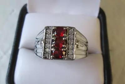 Mens Mozambique Garnet Stainless Steel Ring (Size 12) 4.00 Cts. • $29.40