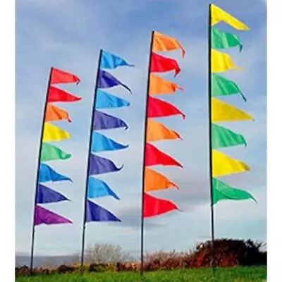 Spirit Of Air Pendant Banner Flag Kit With Pole - 3.4m • £21.99