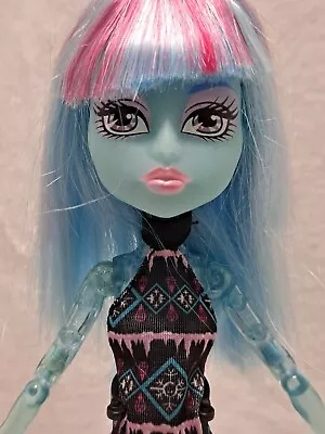 Monster High Create A Monster ICE Blue CAM Doll Mattel With WIG & DRESS RARE! • $39.99