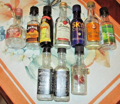 Vintage Lot Of 10 Assorted Glass/Plastic Mini Liquor Bottles Miniatures EMPTY • $12.94