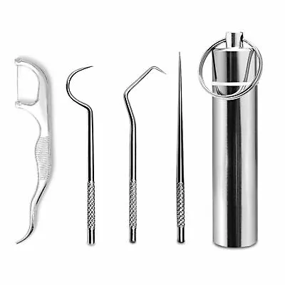 Portable Stainless Steel Toothpick Bag Set Reusable Metal Toothpicks With Holder • $9.59