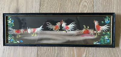 Antique Cock Fight/Fighting Cocks Art Framed Painting Real Feathers Black Frame • £38.80