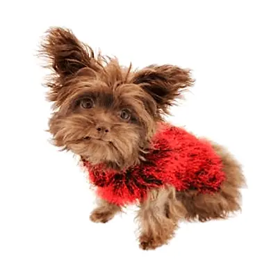 $5.98 • Buy Zack And Zoey Hairy Dog Sweater Clothes Red Size Large NEW