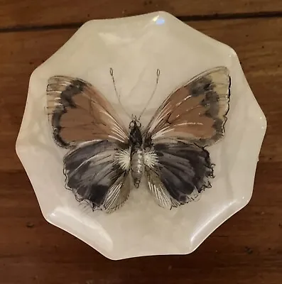 Vintage Italian Alabaster Marble Hinged Spring Butterfly Jewelry/Trinket Box • $15