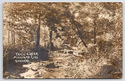 Michigan City Indiana~Trail Creek Puddle Thru Terrific Thick Woodland~1913 RPPC • $14.50