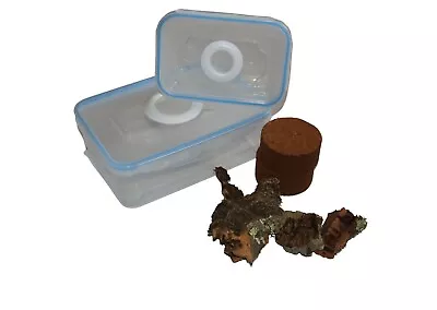 Basic Starter Set X 2 - Ideal For Tarantulas Millipedes &  Other Invertebrates • £17.99