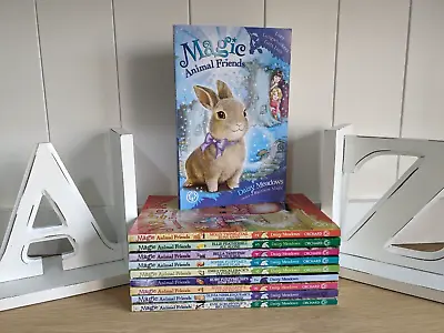 Daisy Meadows Magic Animal Friends 10 Book Boxset Forever Friends Collection • £11.99